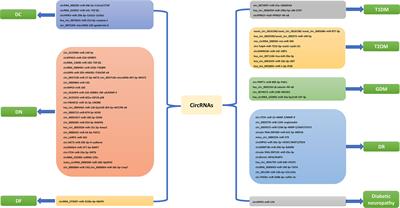 Circular RNAs in diabetes mellitus and its complications